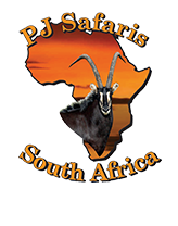 PJ Hunting Safaris Logo Image